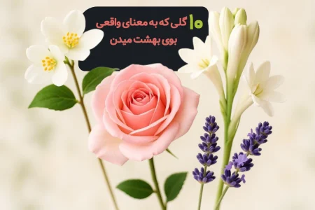عطر-گل